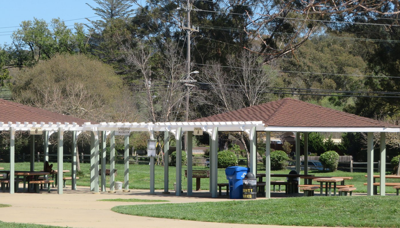 June - Member Annual Potluck Picnic and Sale